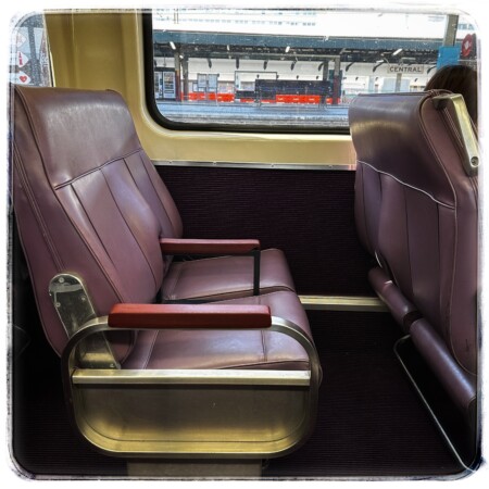 シドニーからブルーマウンテンへの車内