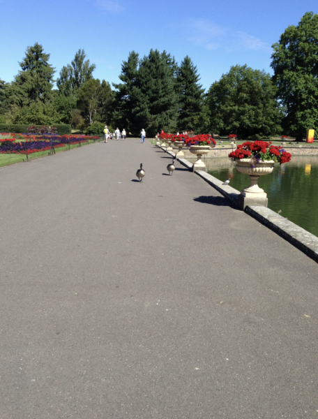 パームハウス前の池　キューガーデン