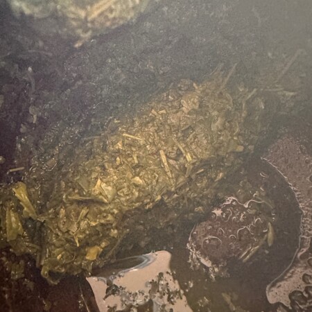 白形傳四郎商店の銀傳の茶葉