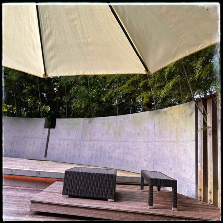 来宮神社の大楠五色の杜