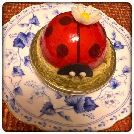 ヴィタメールのコクシネル　てんとう虫のケーキ