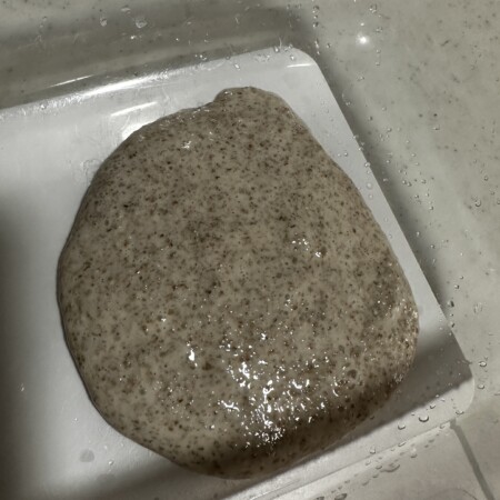 発酵力のない天然酵母