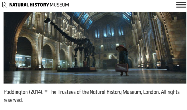 ロケ地自然史博物館にやってきたくまのパディントン