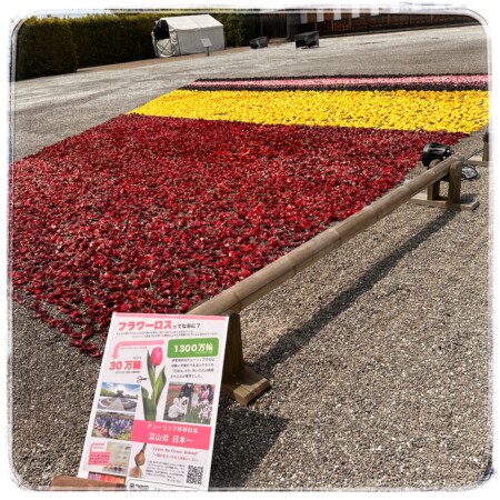 瑞龍寺に枯れた花の飾り